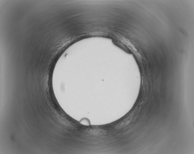 X0000115130201200912081312