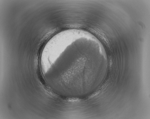 X0000115130206200912081312