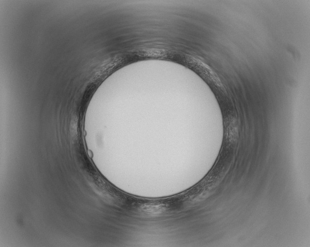 X0000115130213200912081312