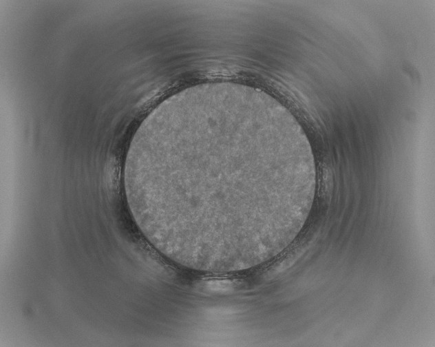 X0000115130228200912081312