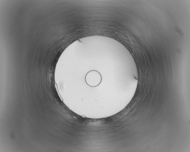 X0000115130235200912081312
