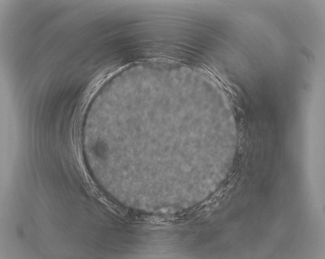 X0000115130241200912081311