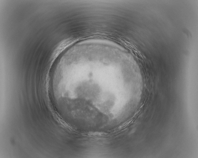 X0000115130242200912081311