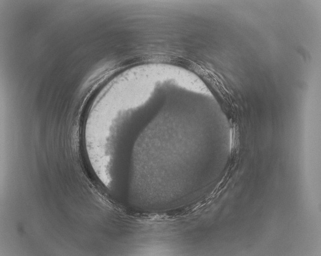 X0000115130243200912081311