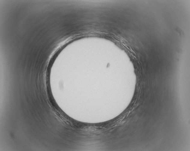 X0000115130244200912081311
