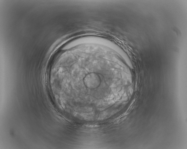 X0000115130247200912081311