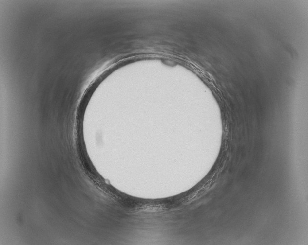 X0000115130248200912081311