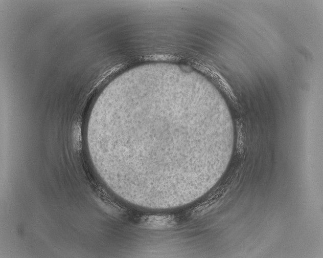 X0000115130251200912081311