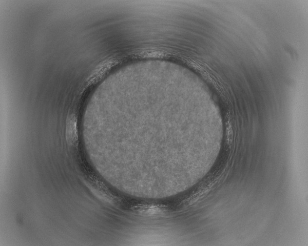 X0000115130254200912081311