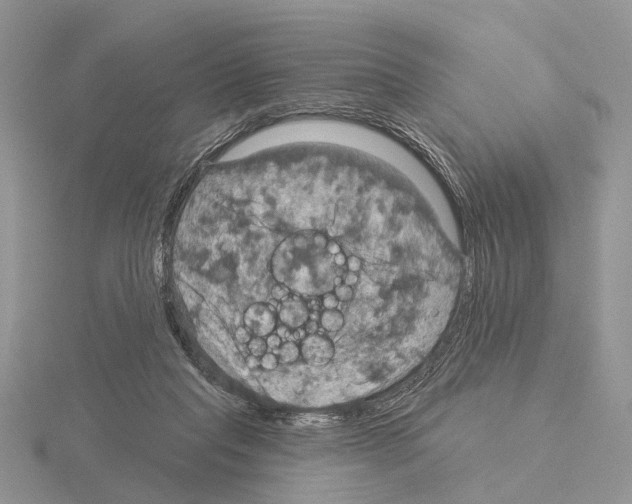 X0000115130261200912081311