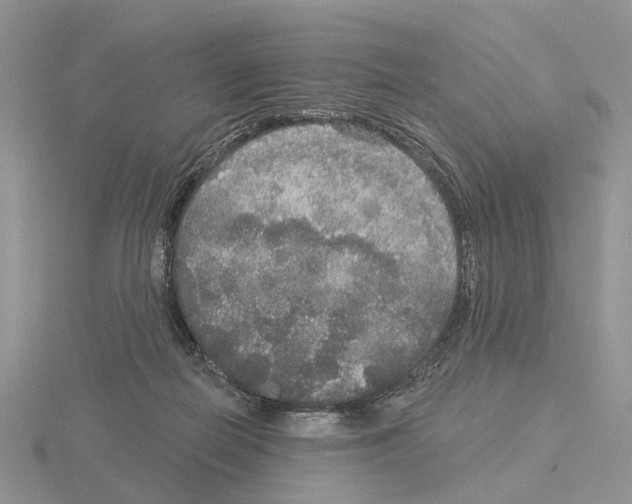 X0000115130266200912081311