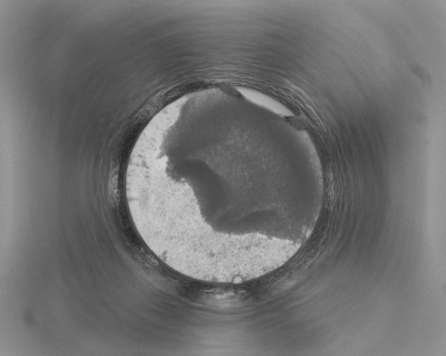 X0000115130267200912081311