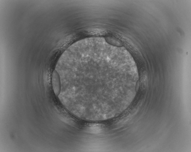 X0000115130268200912081311