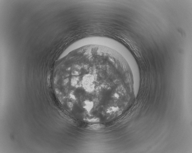 X0000115130269200912081311