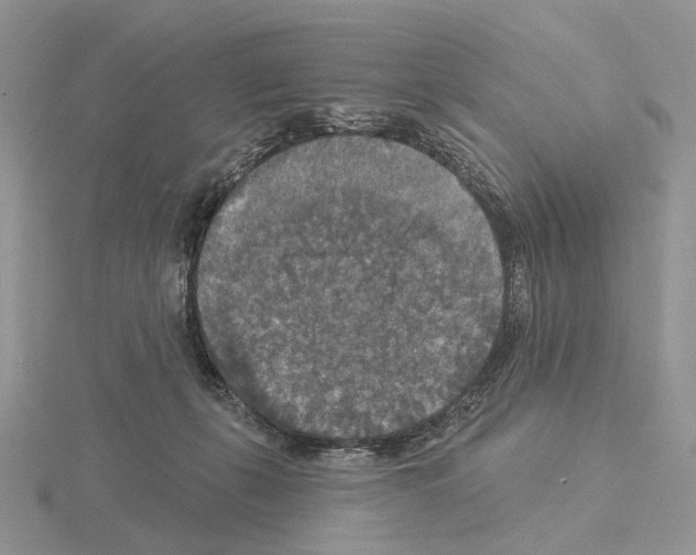 X0000115130271200912081311