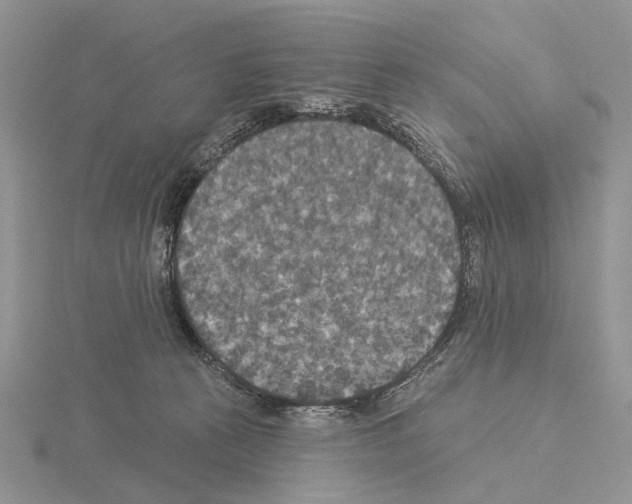 X0000115130273200912081311