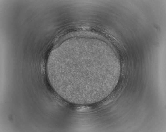 X0000115130274200912081311
