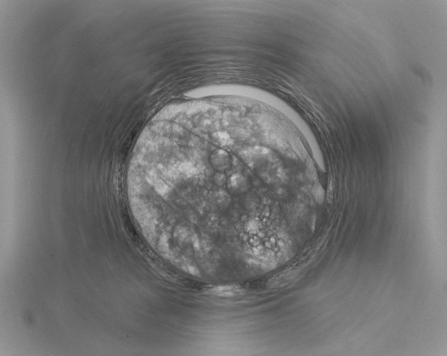 X0000115130277200912081311