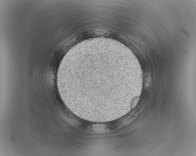 X0000115130279200912081311