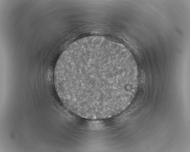 X0000115130281200912081311