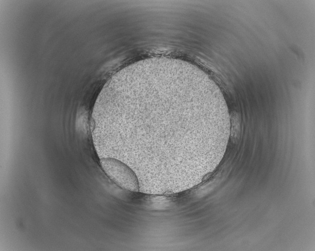 X0000115130287200912081312