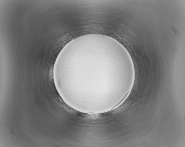 X0000115130288200912081312