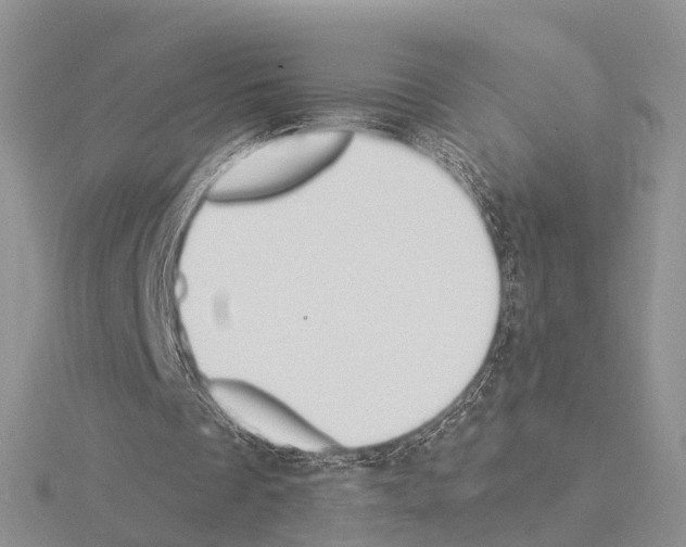 X0000115130289200912081311