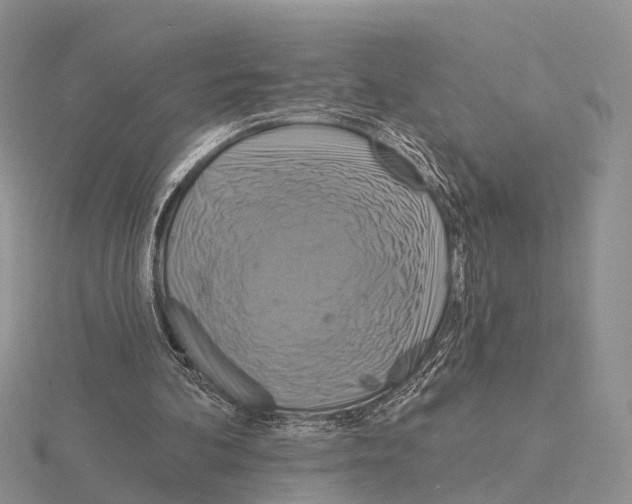 X0000115130292200912081311