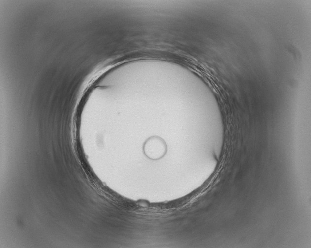 X0000115130294200912081311