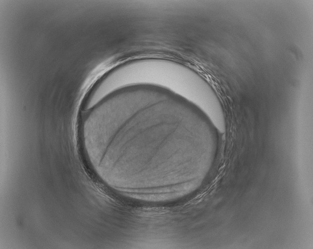 X0000115130296200912081311