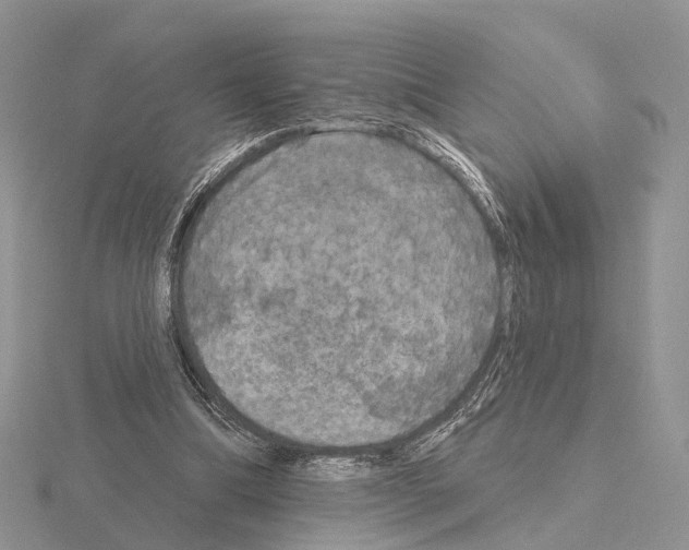 X0000115130298200912081311