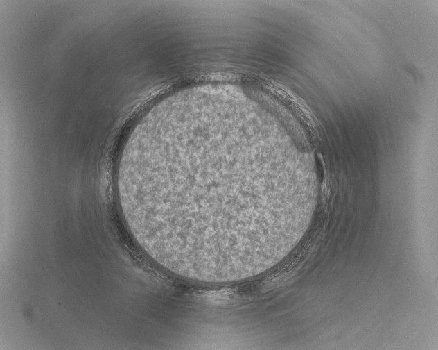 X0000115130306200912081311