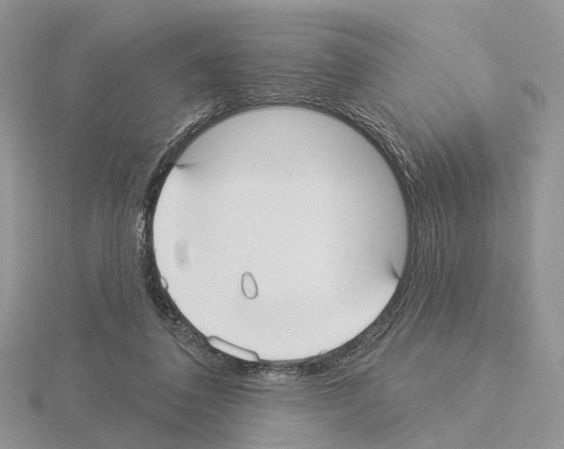 X0000115130308200912081311