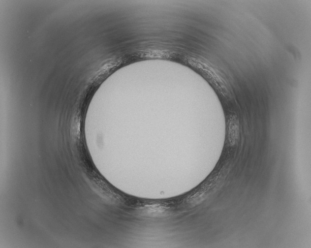 X0000115130310200912081311