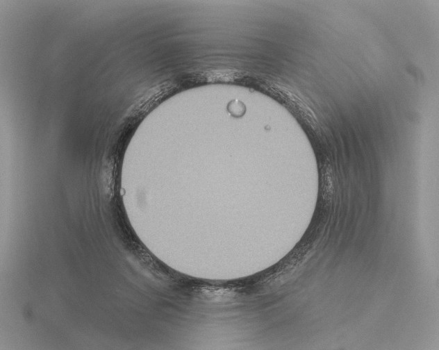 X0000115130311200912081311