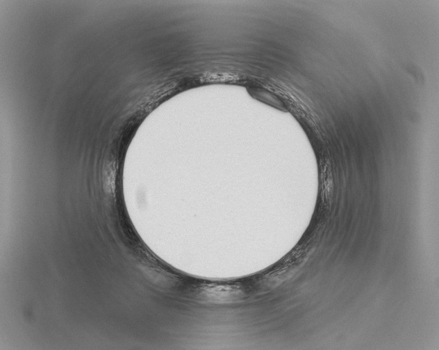 X0000115130315200912081311