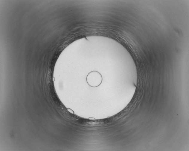 X0000115130323200912081310