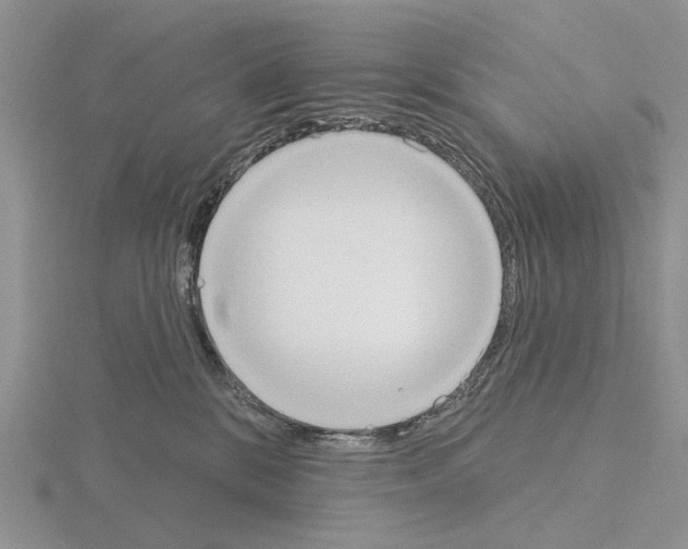 X0000115130328200912081310