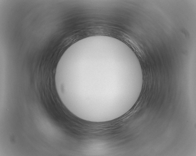 X0000115130333200912081310