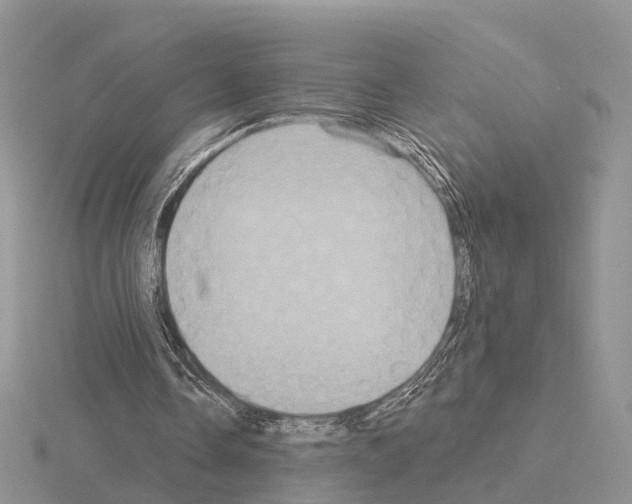 X0000115130338200912081310