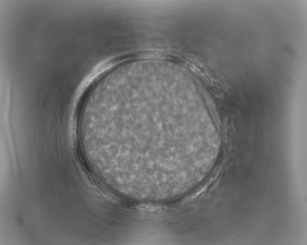 X0000115130343200912081310