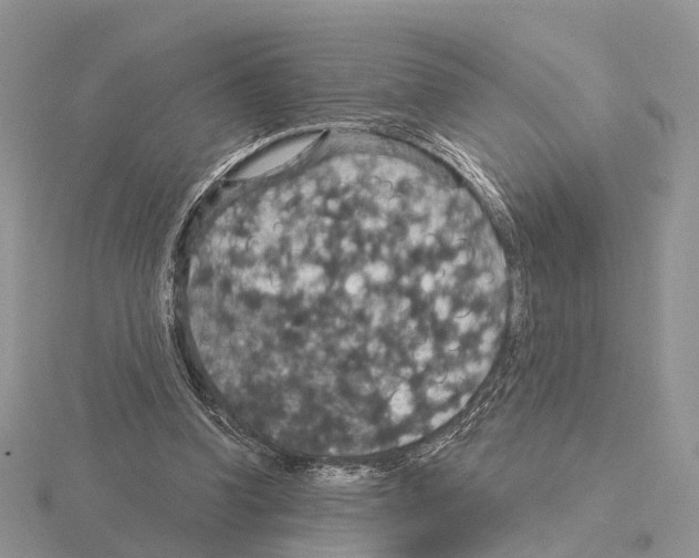 X0000115130346200912081310