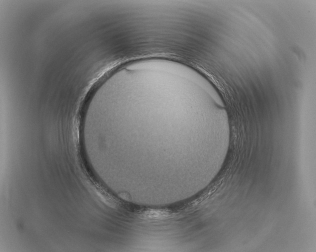 X0000115130350200912081310
