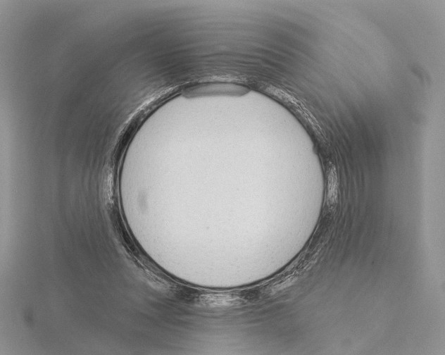 X0000115130351200912081310