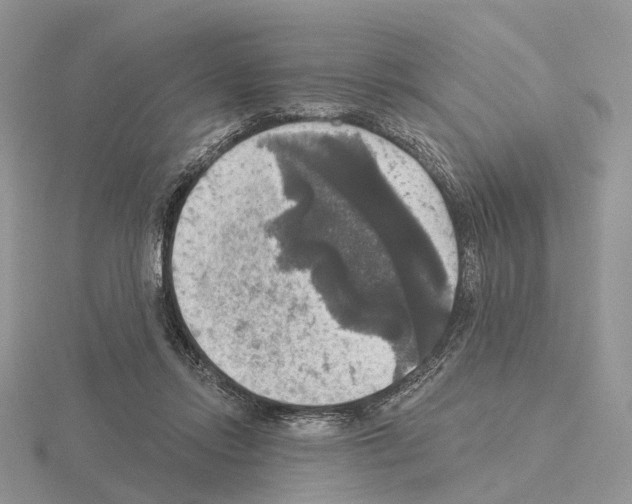 X0000115130358200912081310
