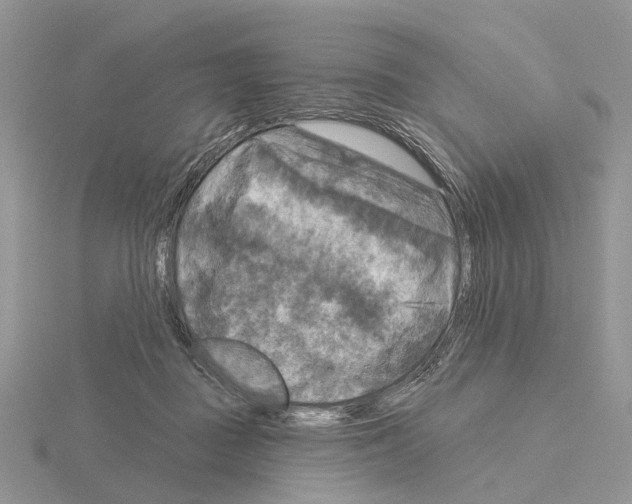 X0000115130363200912081310