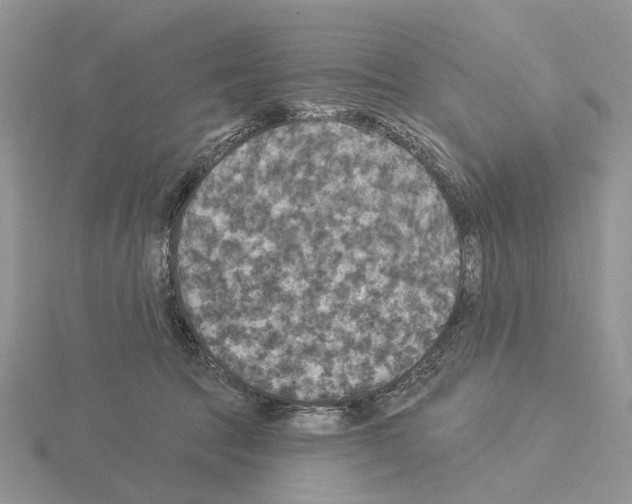 X0000115130369200912081310