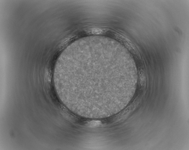 X0000115130374200912081310