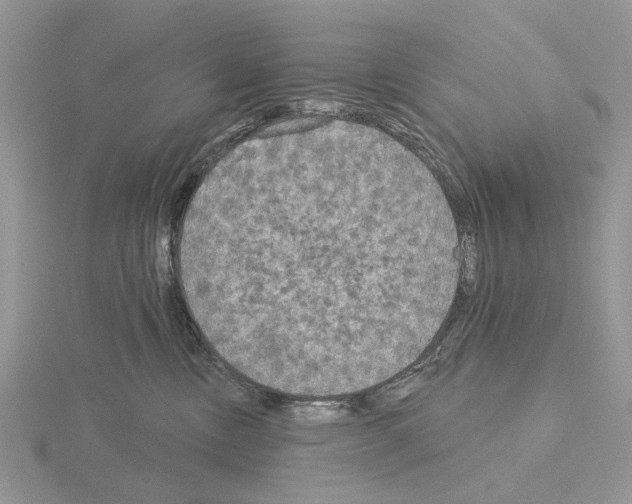 X0000115130378200912081310
