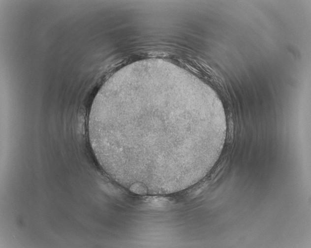 X0000115130379200912081310